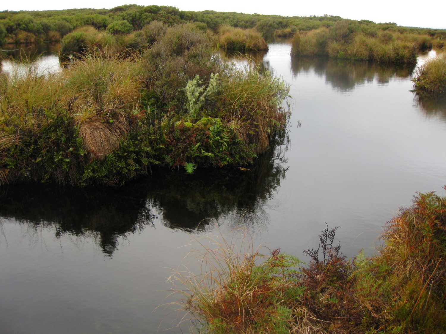 Awarua Waituna Lagoon, New Zealand @National Wetland Trust