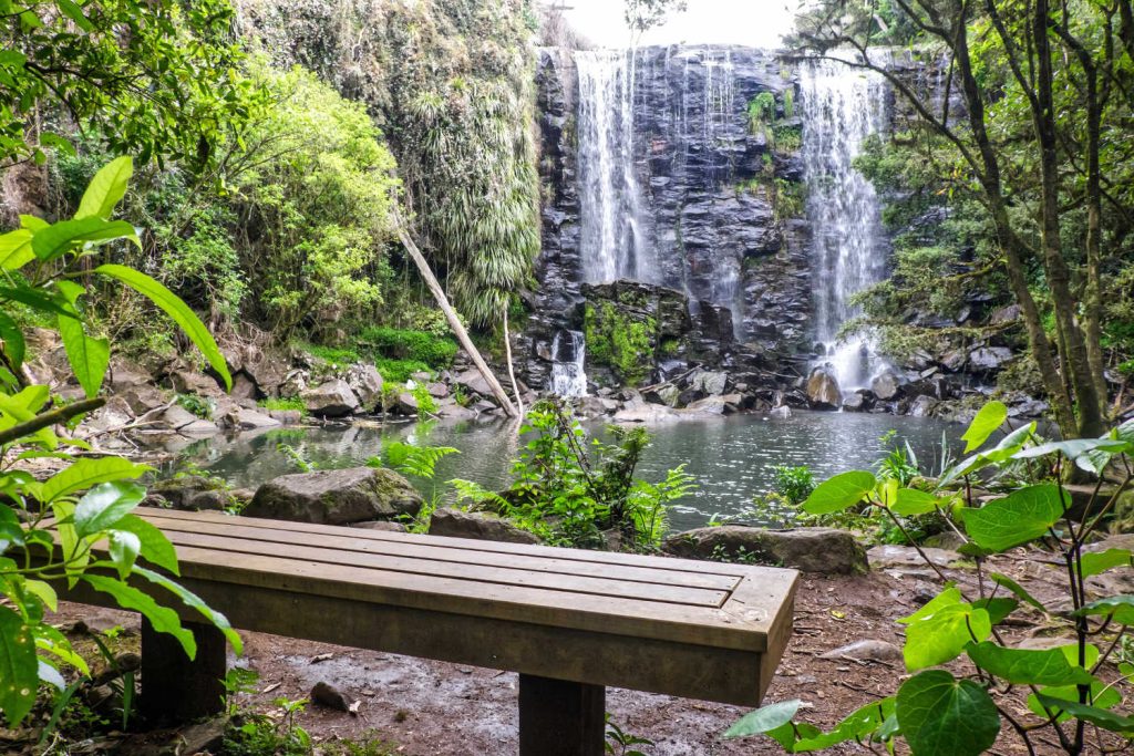 Bench seat for relaxation and rest at Wairoa Stream (Te Wairere) Waterfall hiking track, Kerikeri, Far North District, Northland, North Island, New Zealand, NZ