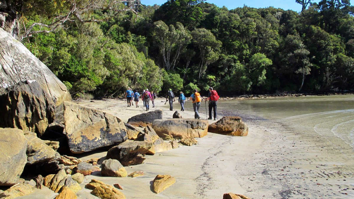 Rakiura great walk, New Zealand @ruggedyrange