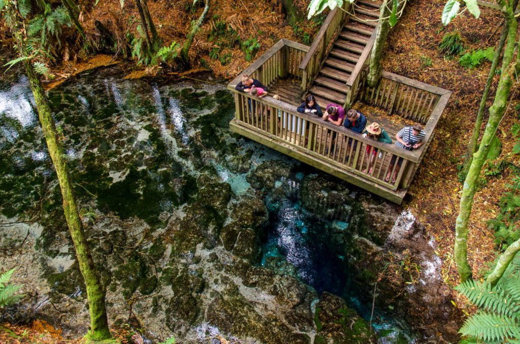 Te Puna-a-Hangurua in the Hamurana Springs, Rotorua, New Zealand