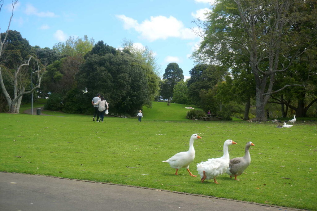 Western Springs Lakeside Park, New Zealand