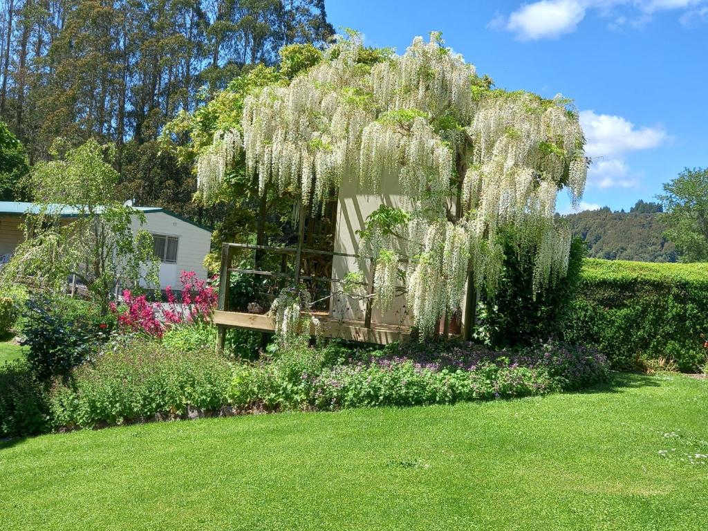 @Aramatai Gardens, Waikato, New Zealand