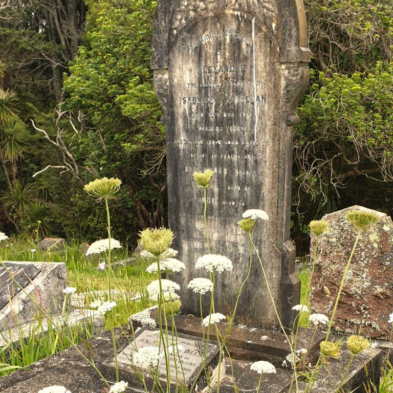 Cemetery grave view, Waikumete cemetery, Auckland, New Zealand
