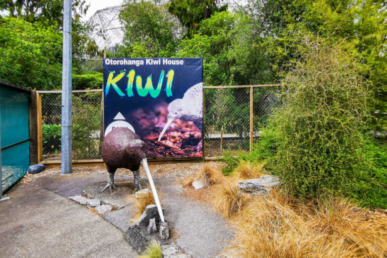 Kiwi preservation house and zoo in Otorohanga, New Zealand