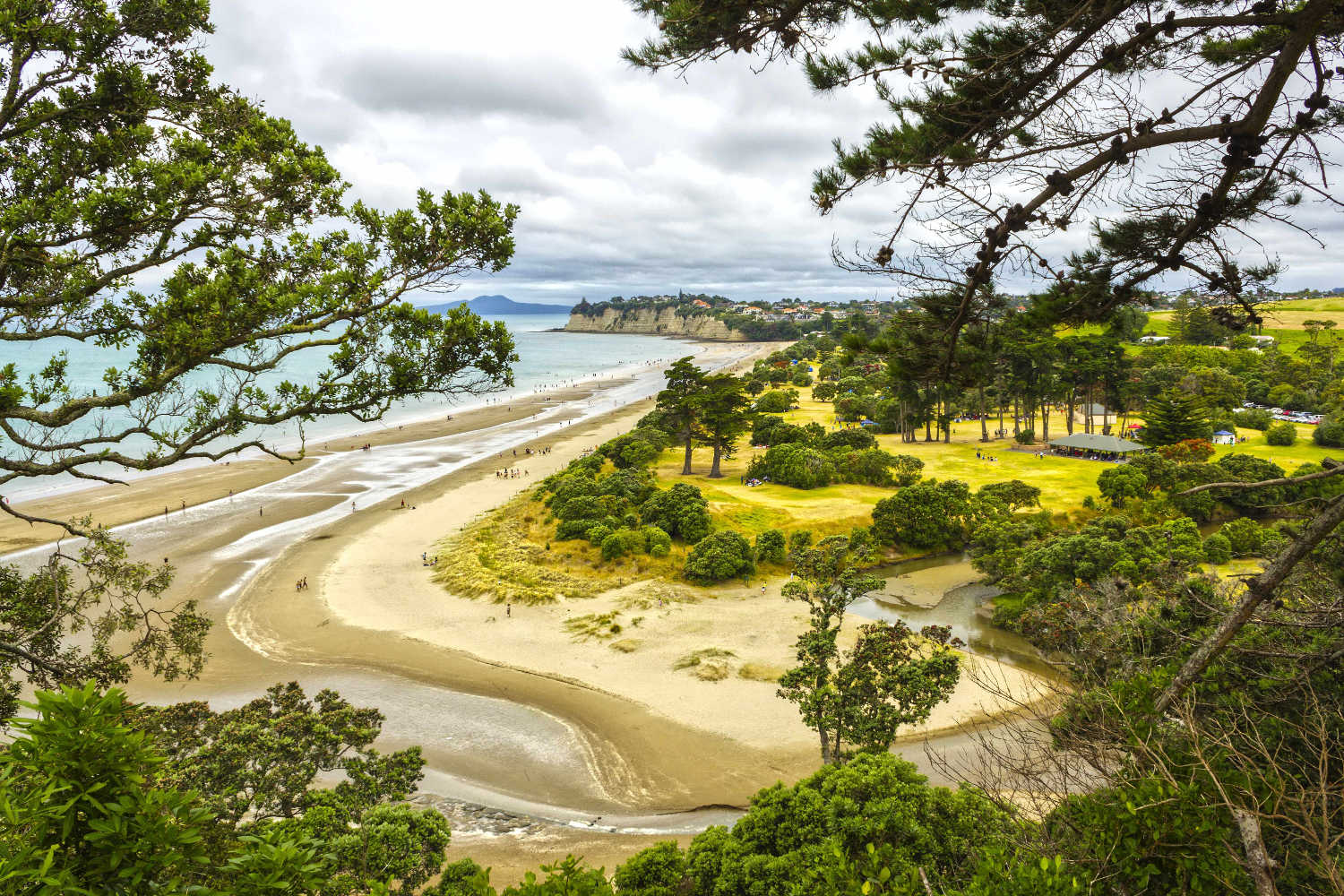 Long Bay Regional Park Auckland perfect sandy beach in Auckland, Auckland, New Zealand