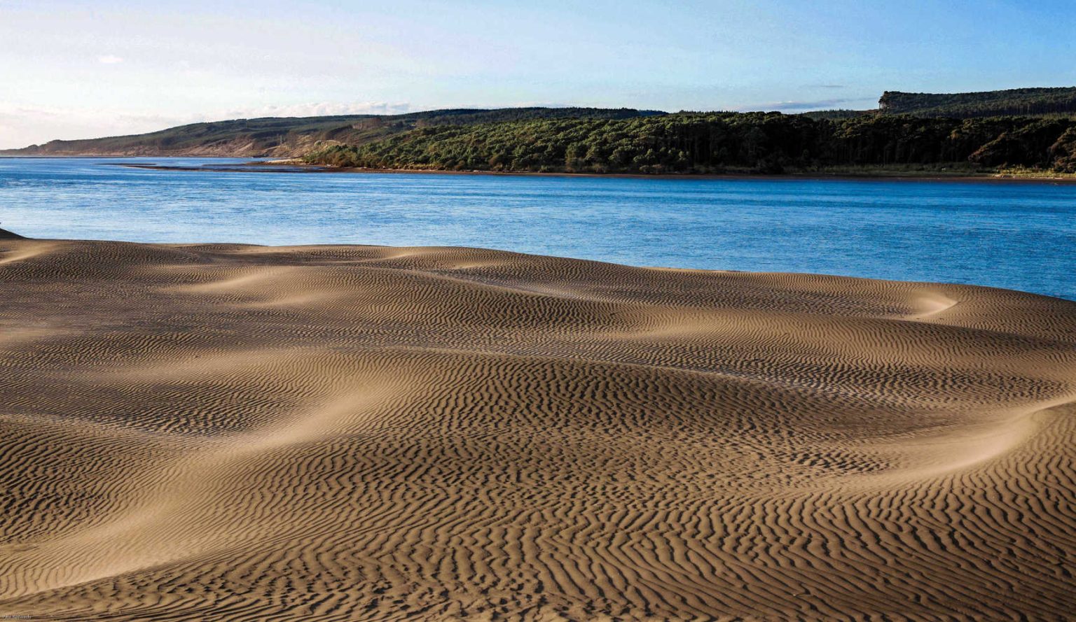 Sand dunes and Waikato River at Port Waikato, New Zealand