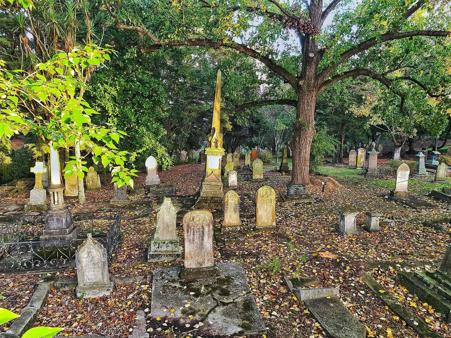 Symonds Street Cemetery, Waikumete cemetery, Auckland, New Zealand @lost_and_found_explorer