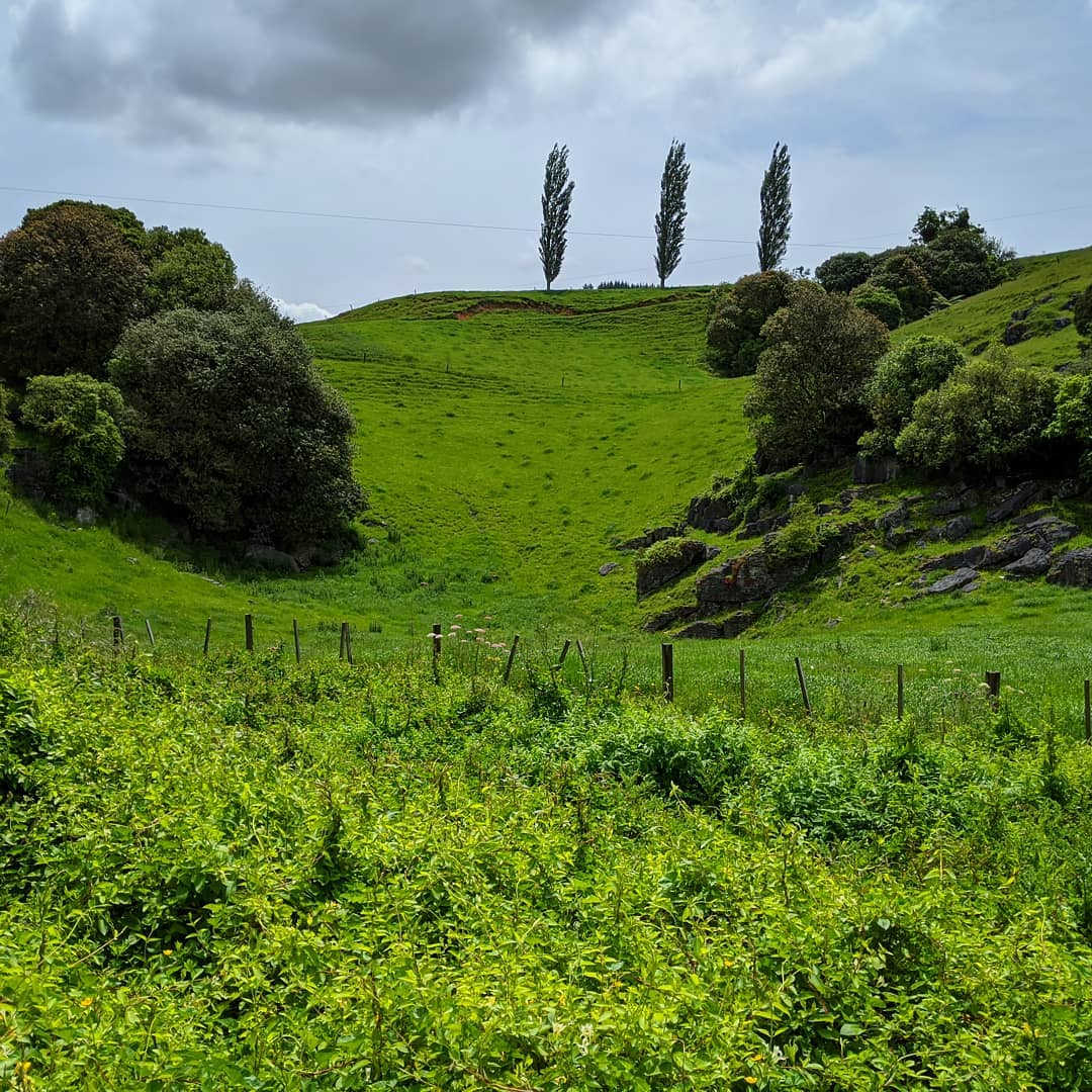 Waitomo lookout point, New Zealand @itsagary