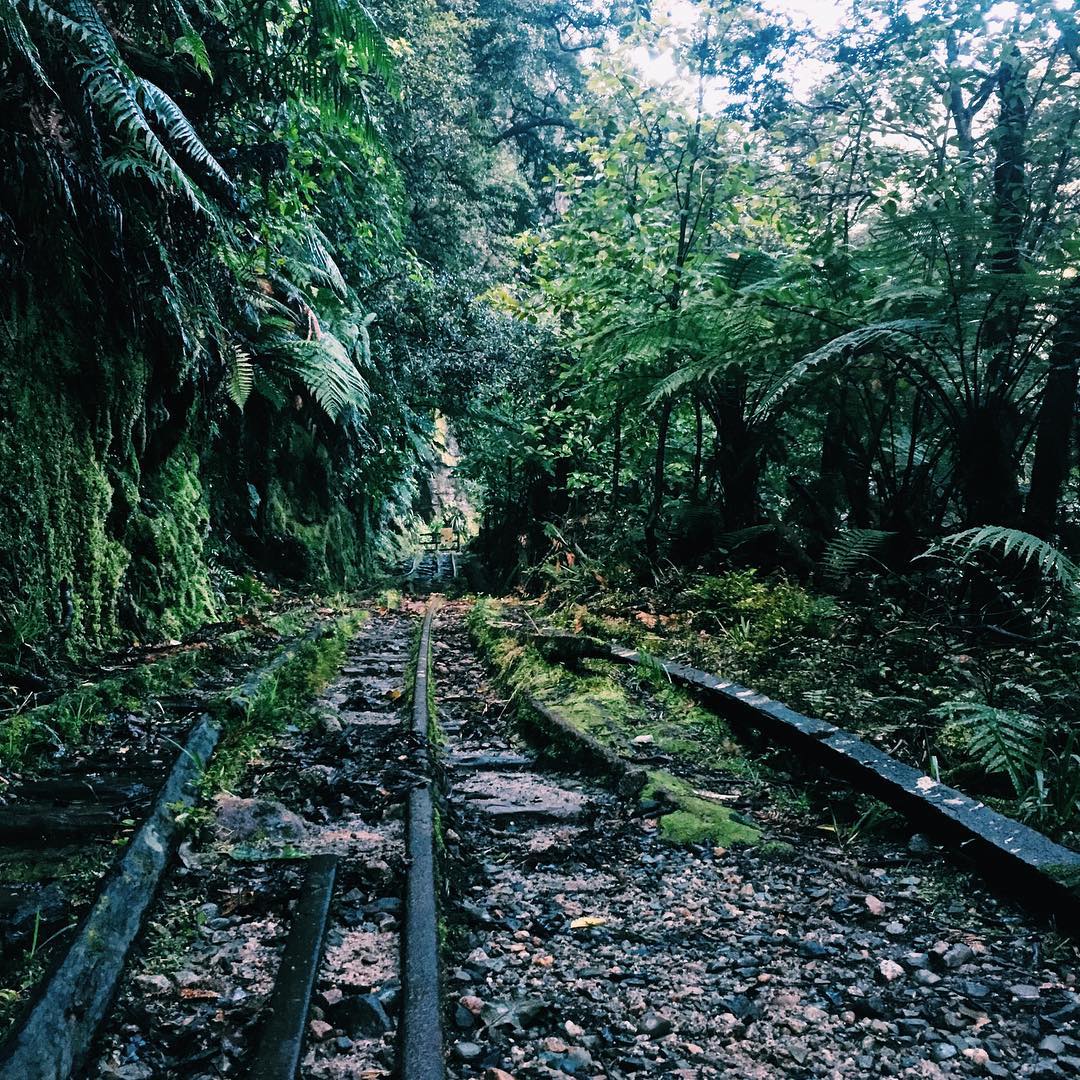 Charming Creek, Ngakawau, West Coast, New Zealand @miss__mcdonald