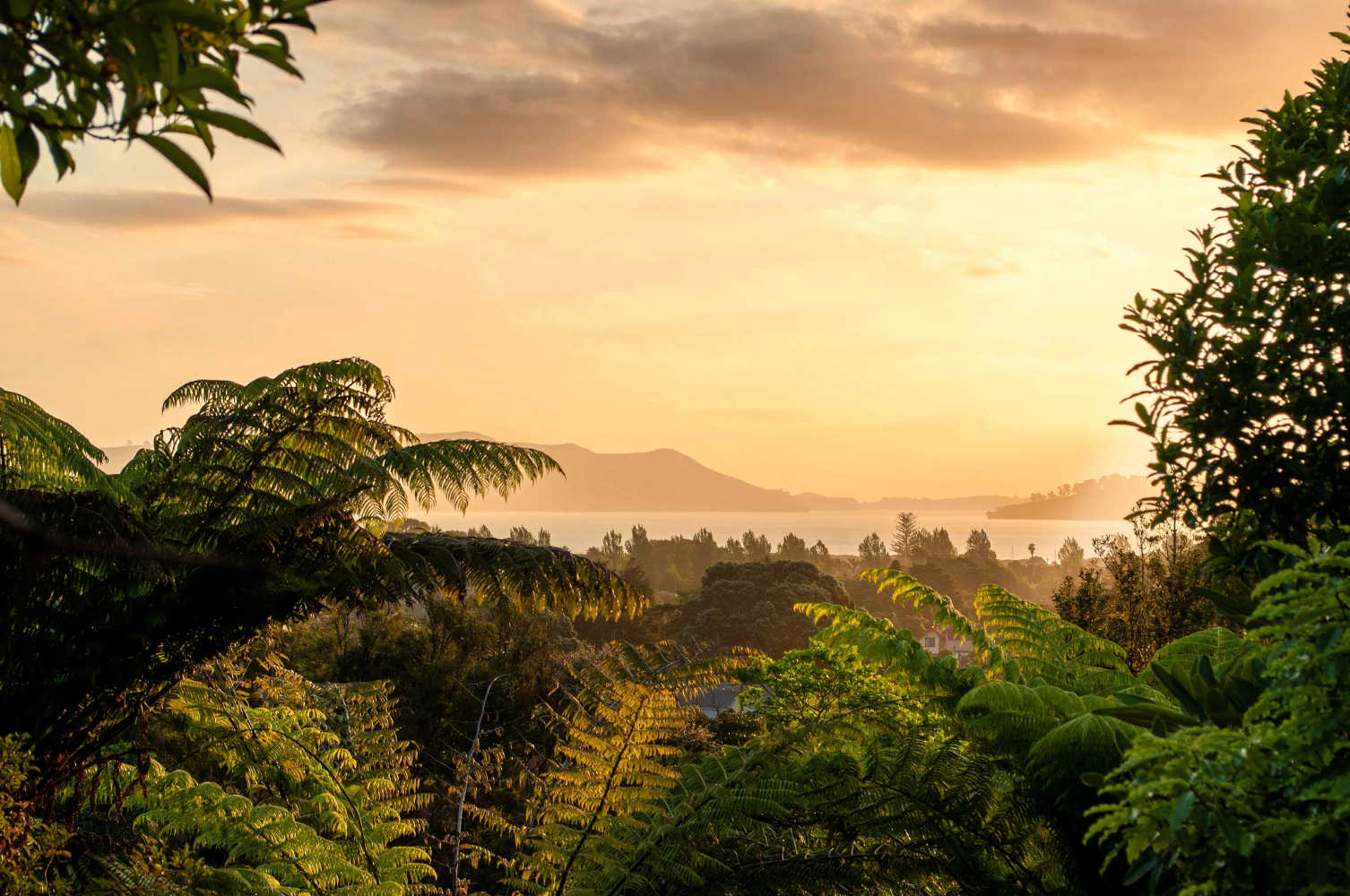 Sunset in beautiful tropical and lush Coromandel, Coromandel, New Zealand