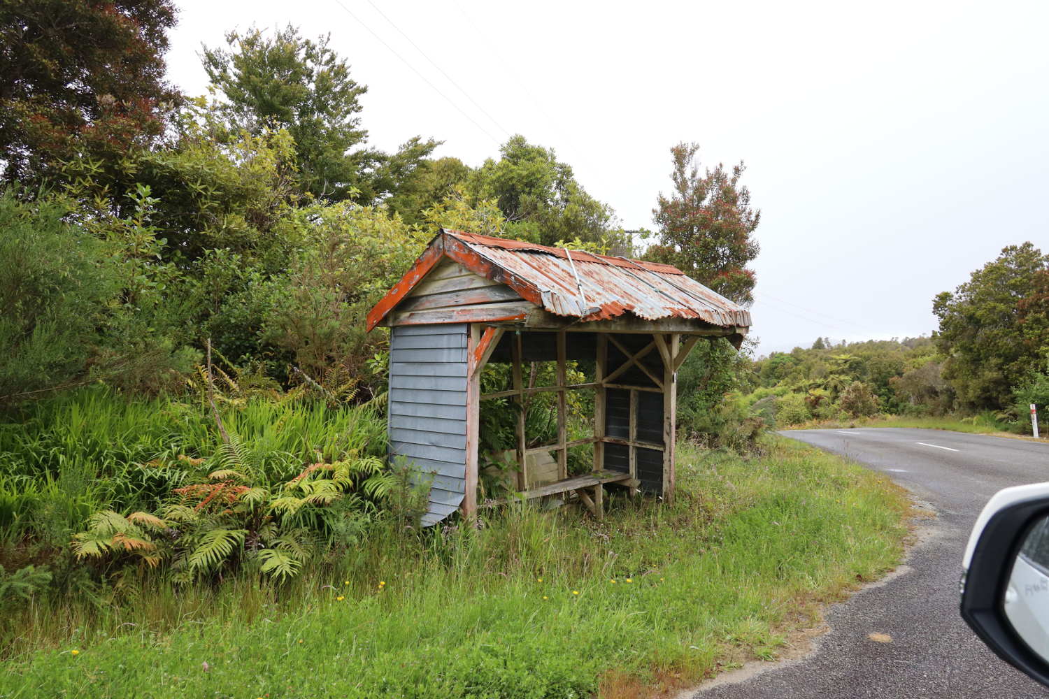 Decaying busstop Millerton, West Coast, New Zealand