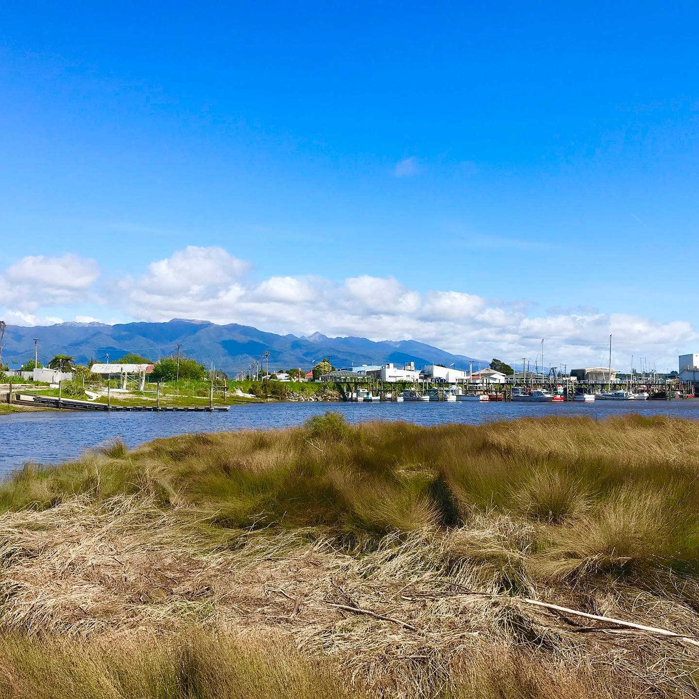 Kawatiri River trail, West Coast, New Zealand @westcoastrewardsnz