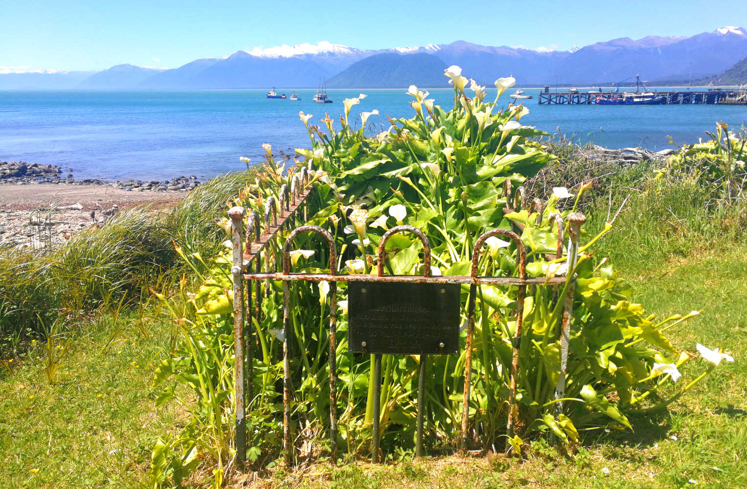 Lonely grave, Jackson Bay, West Coast, New Zealand @kiwisflythecoop