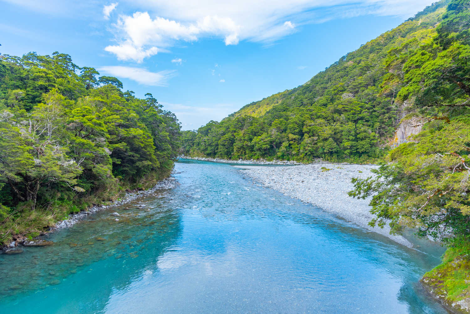 Makarora river in New Zealand