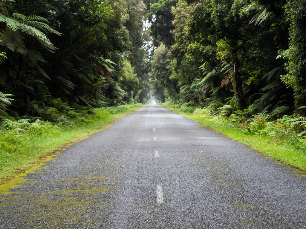 Road to Jackson Bay, West Coast, New Zealand @Marc Ankenbauer