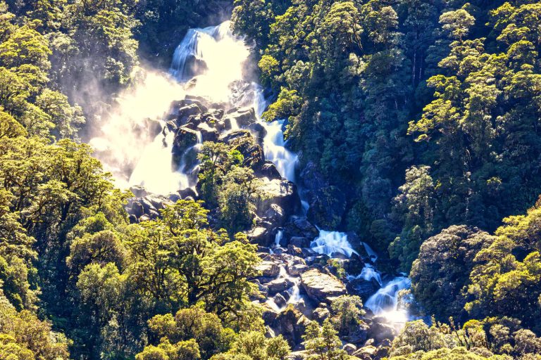 Roaring Billy Falls in Mount Aspiring National Park, West Coast, South Island, New Zealand