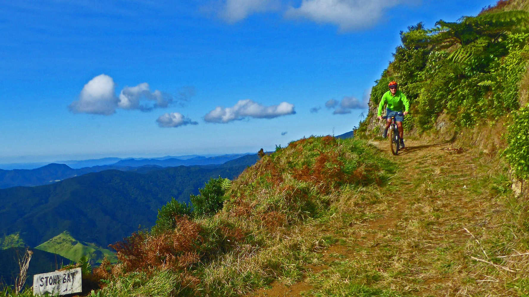The Coromandel Walkway Mountain Bike Trail in Coromandel, New Zealand @Singletracks