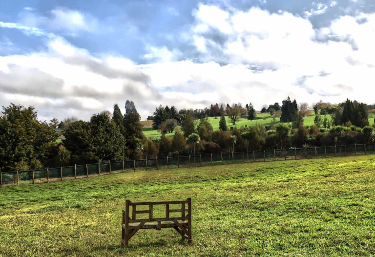 Rotopiko wetland centre, background farmland with perimeter planting, predator fence, Waikato, New Zealand