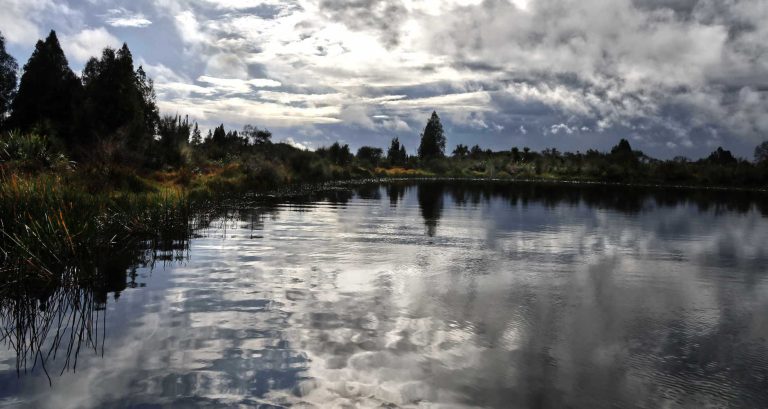 Rotopiko Wetland Centre, winter light, dark inky peat lake, Waikato, New Zealand
