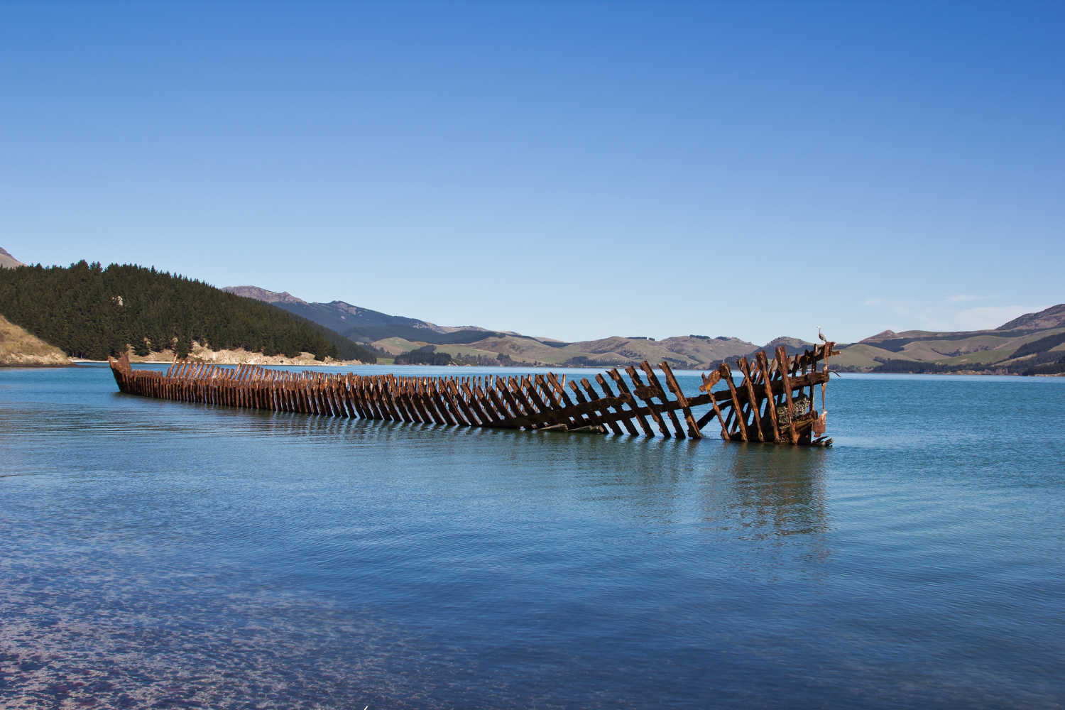 The rusting hulk of a shipwreck, the Darra, lies on the coast of Quail Island, New Zealand