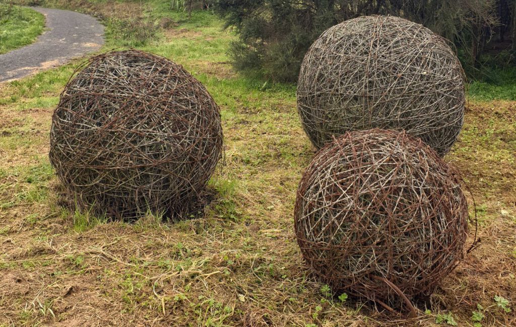 Waiwhakareke naturally woven sculptural balls, Hamilton, Waikato, New Zealand