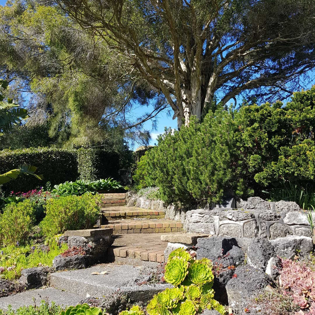 Bason Botanic Gardens, Whanganui, Wellington, New Zealand @amesgates