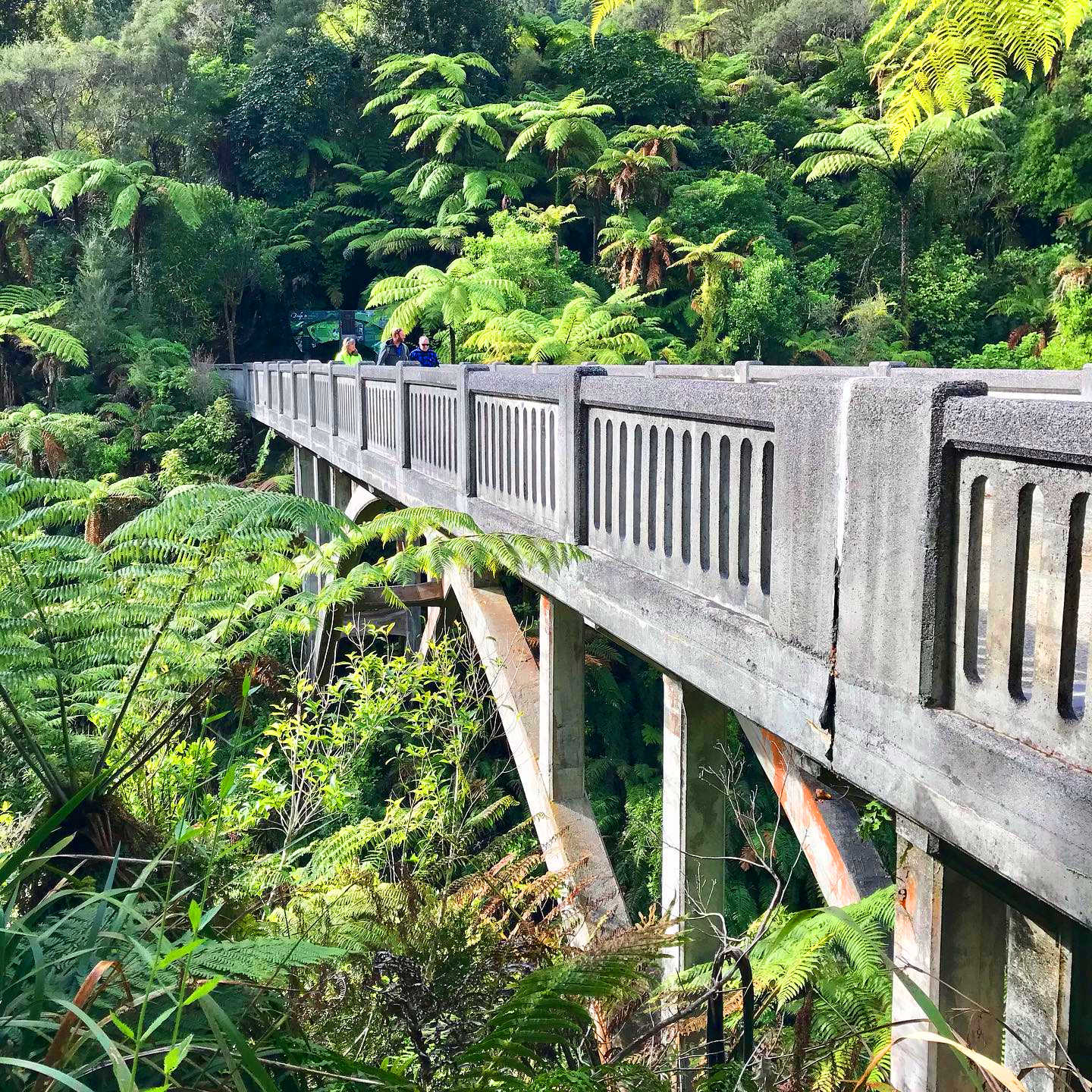 Bridge To Nowhere, Whanganui, Wellington, New Zealand @globetravelnewzealand