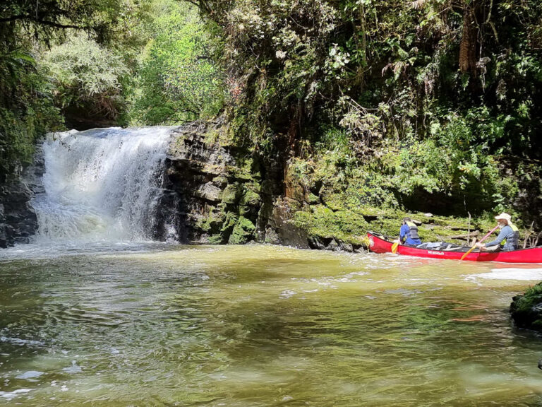 Canoe safaris, Whanganui river trips, New Zealand