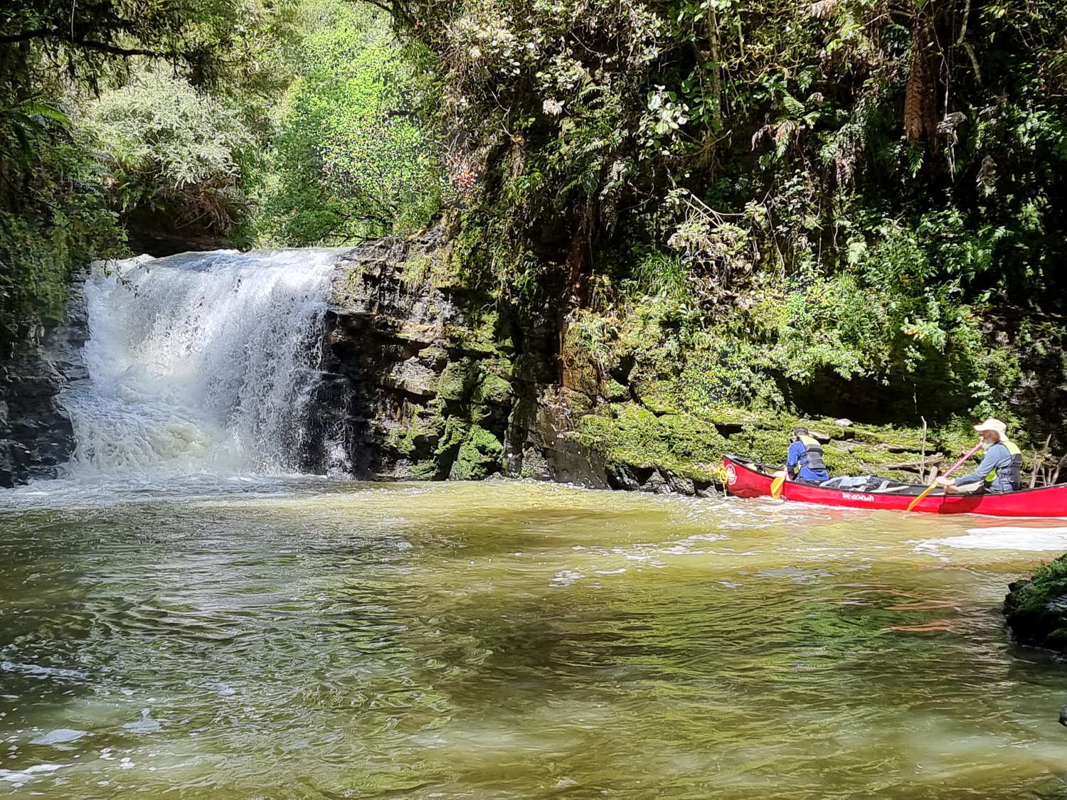 Canoe safaris, Whanganui river trips, New Zealand