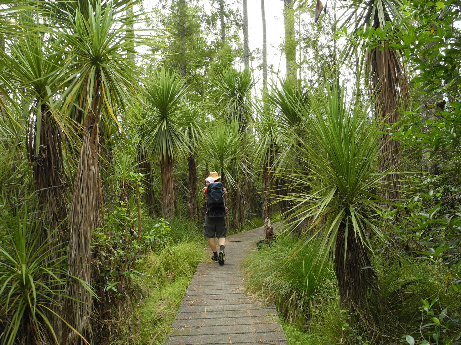 Gordon Park Scenic Reserve, Whanganui, Wellington, New Zealand @Tots in Tawhero