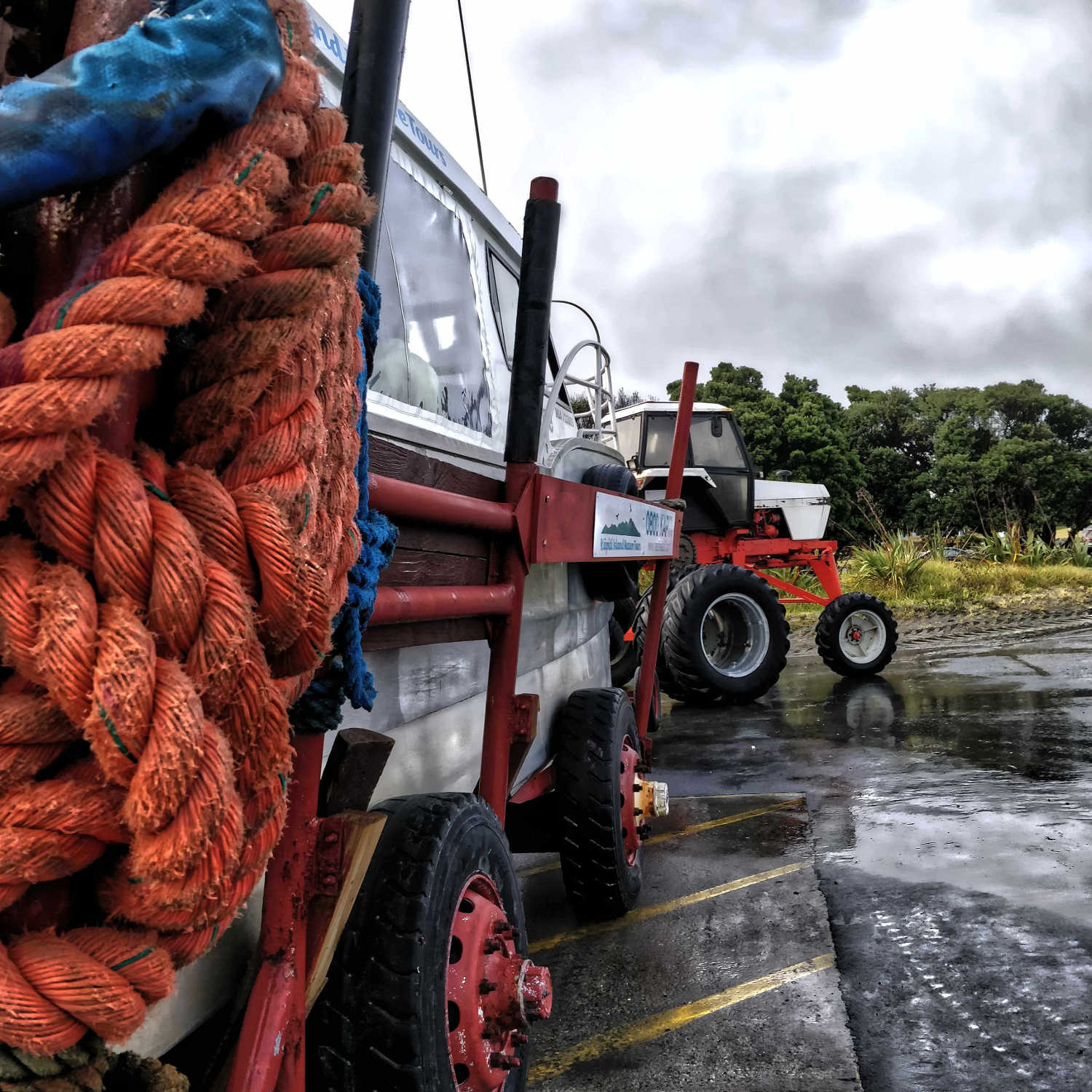 Kapiti Island departure via tractor assistance to launch island boat, Wellington, New Zealand