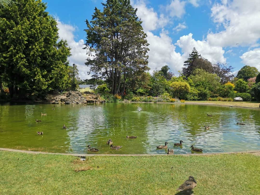 Kowhai Park, Whanganui, Wellington, New Zealand @mae_thomson89