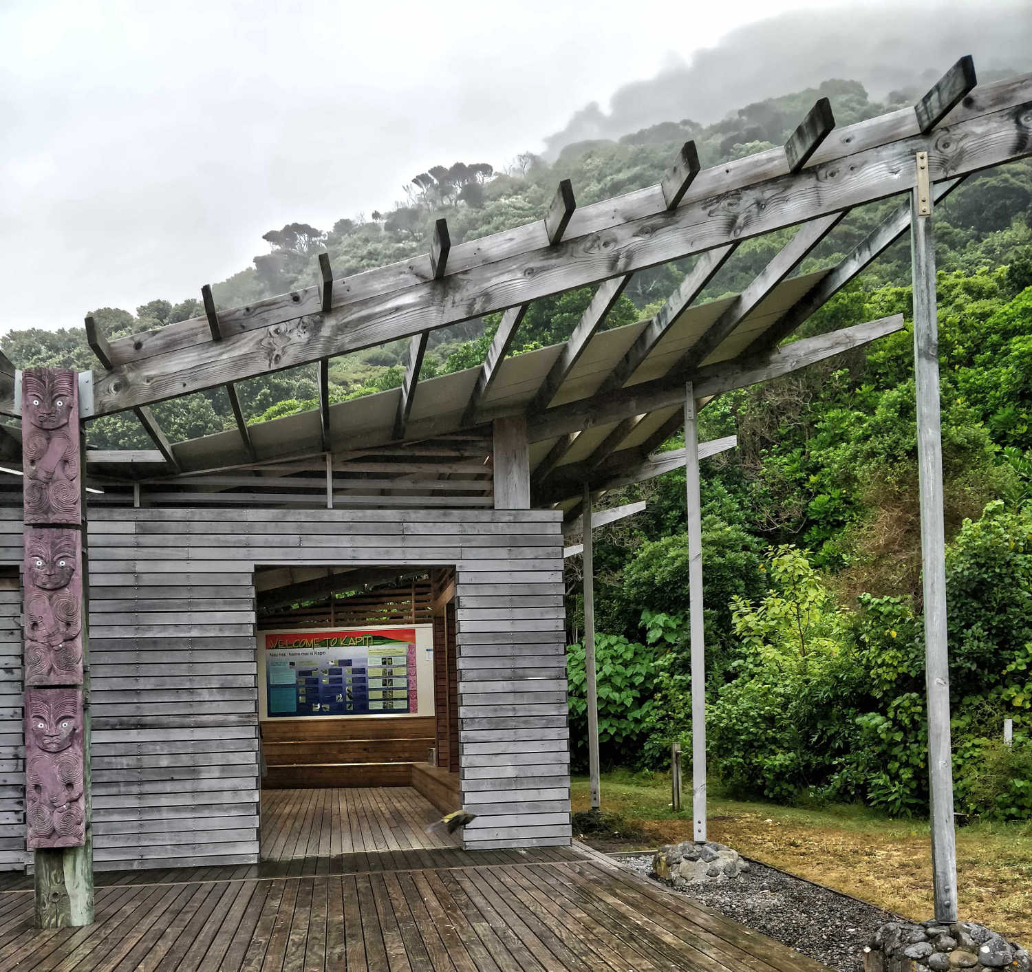 Misty day, Kapiti Island shelter _ self-guided info centre + cheeky kaka parrots hanging out inside, Wellington, New Zealand