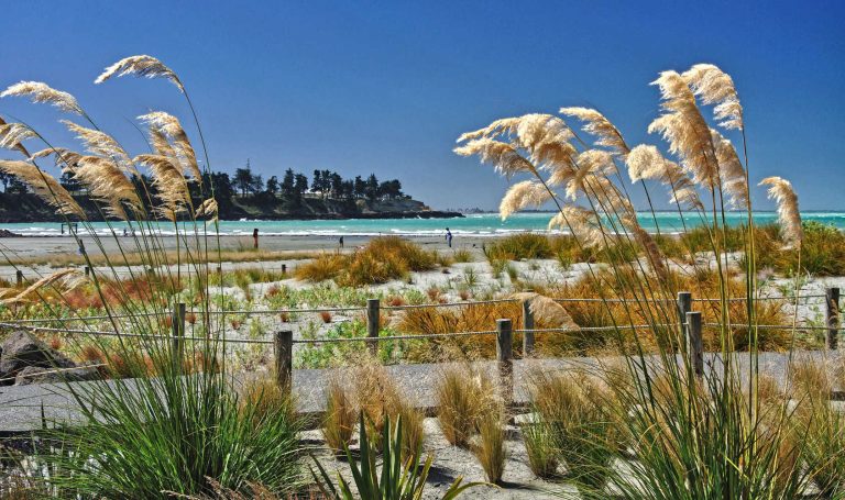 Beach and sand dunes, Caroline Bay, Timaru, South Canterbury, Canterbury Region, South Island, New Zealand