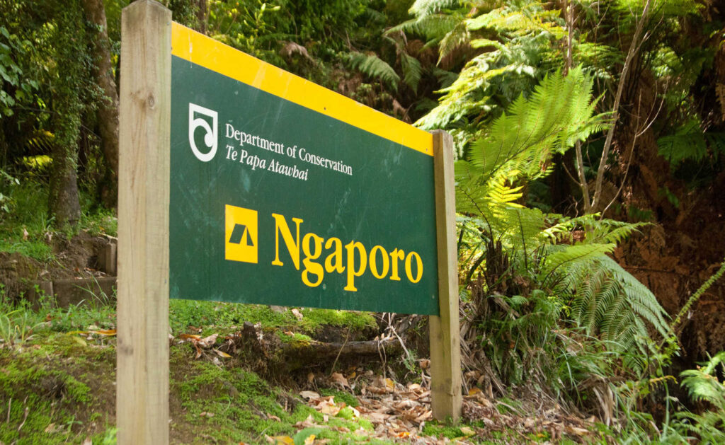 Ngaporo camp site. Whanganui River. Whanganui National Park. New Zealand