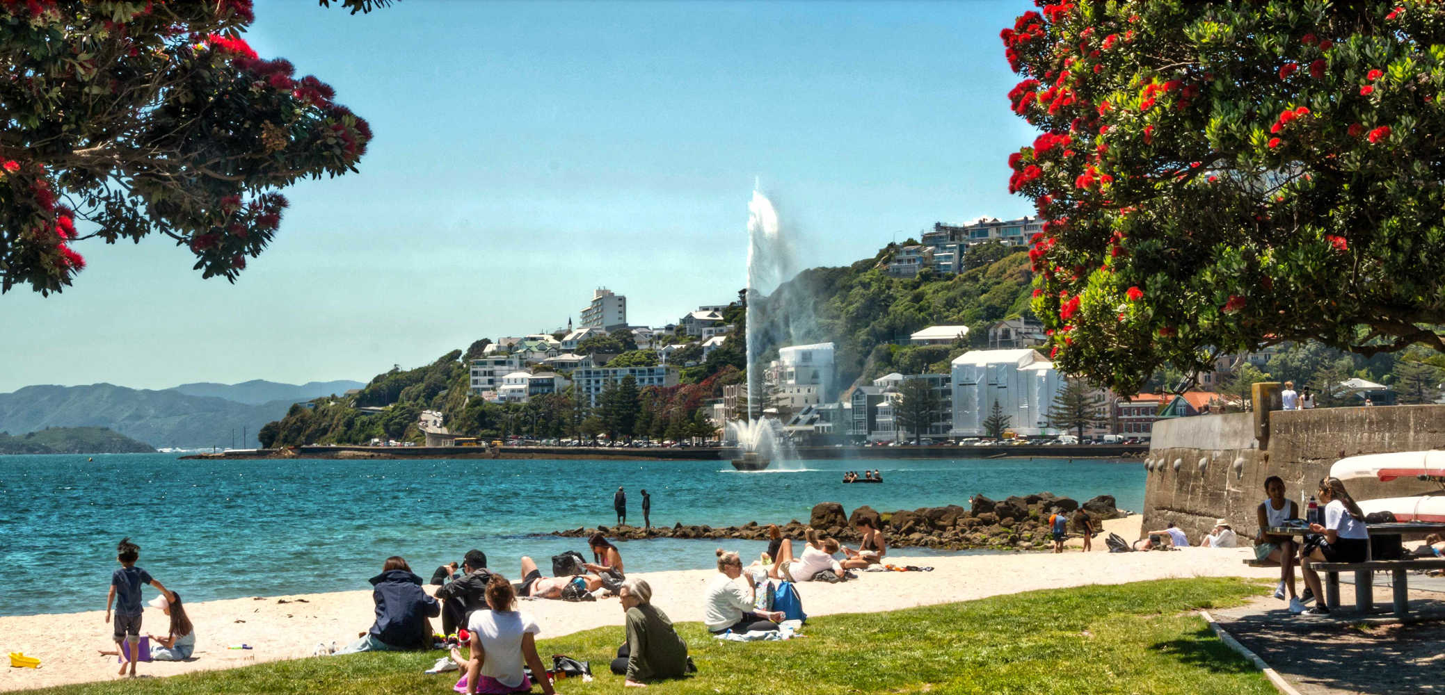 Central city beach, Oriental Bay, Wellington, North Island, New Zealand