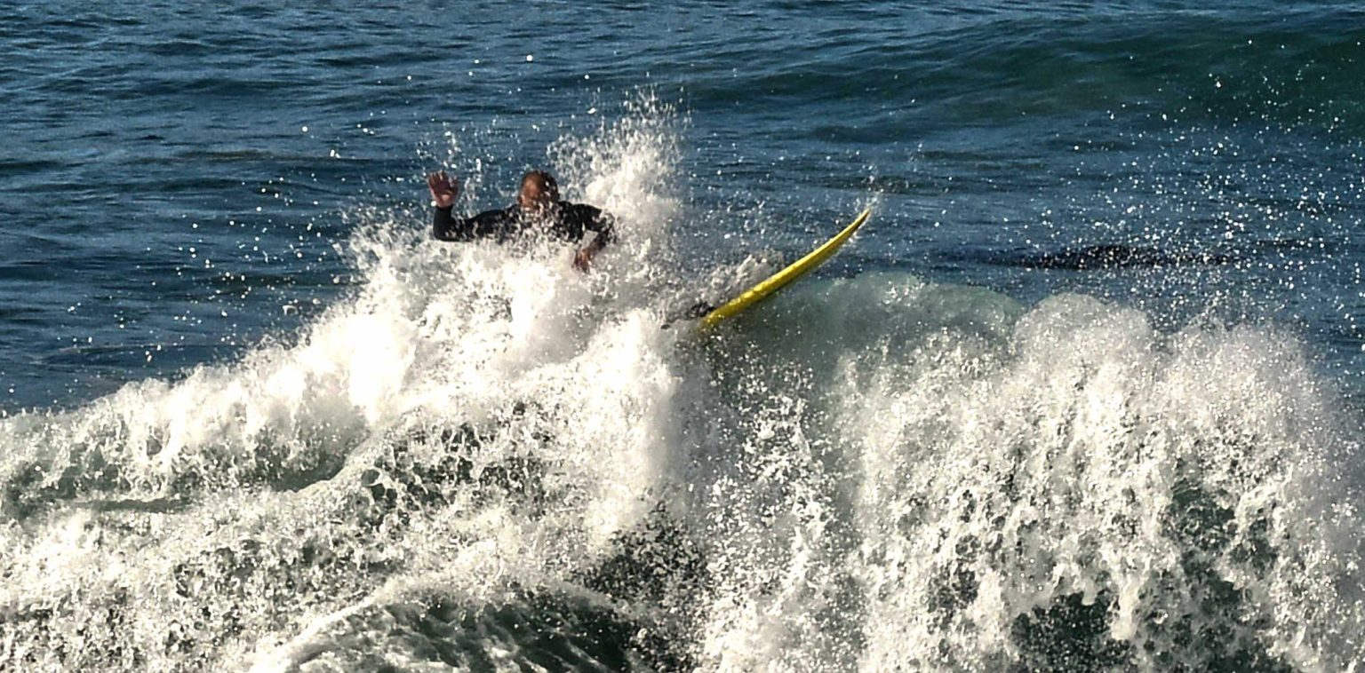 Surfer riding the waves, St. Clair Beach, Dunedin, New Zealand