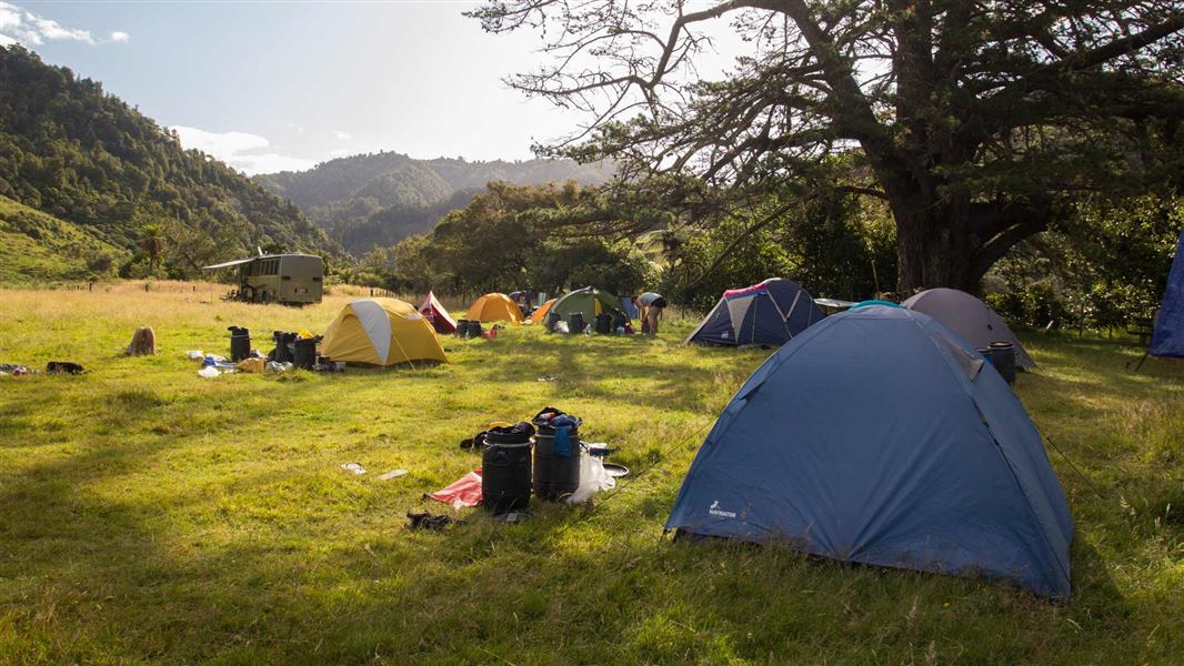 Whakahoro Camping Ground, Whanganui, New Zealand @DOC / Daniel Deans