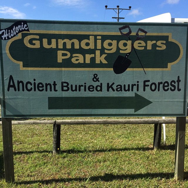 Gumfields Park, Northland, New Zealand @simon_mudaliar