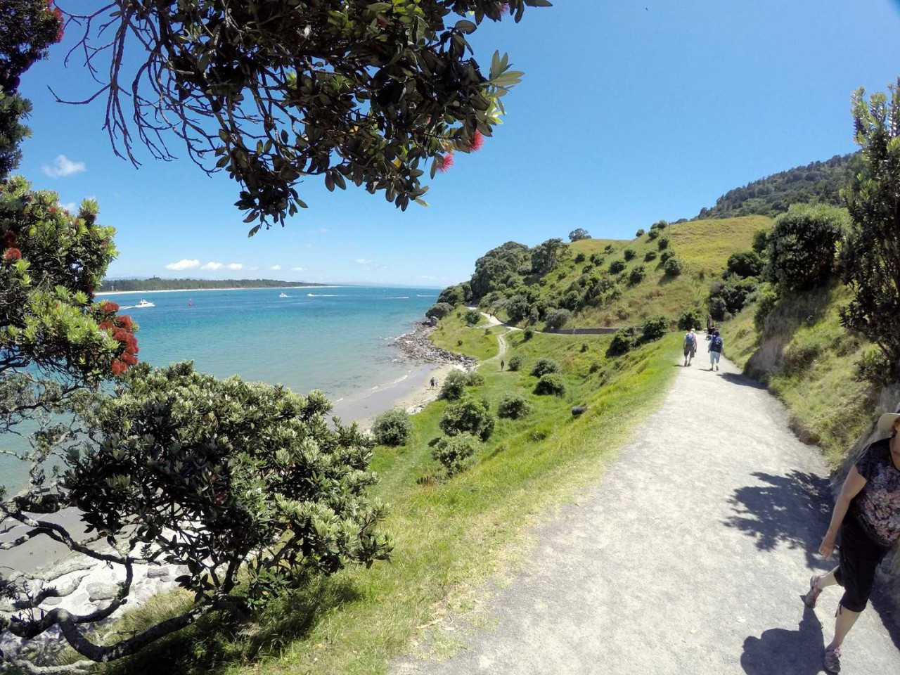 Mt Maunganui Base Track Walk, Bay of Plenty, New Zealand @Free walks