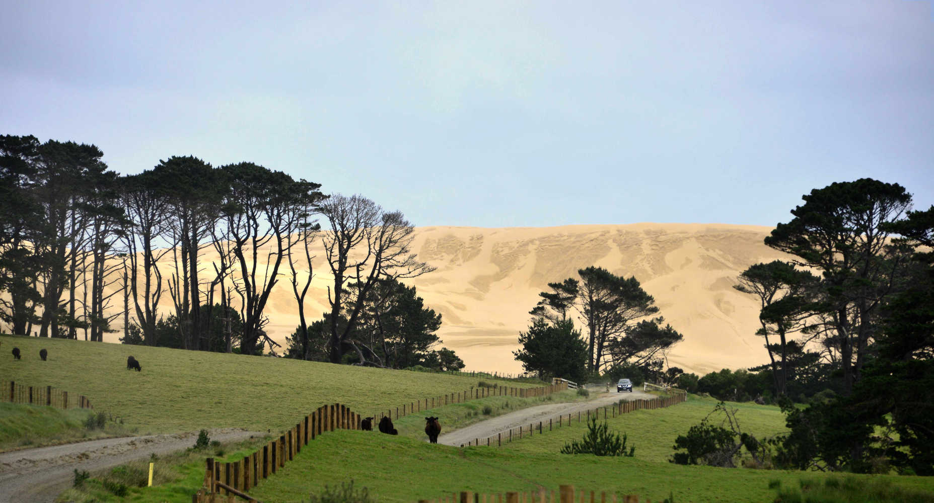 Ninety Mile Beach gravel road leading to access to Te Paki dunes, Northland, New Zealand