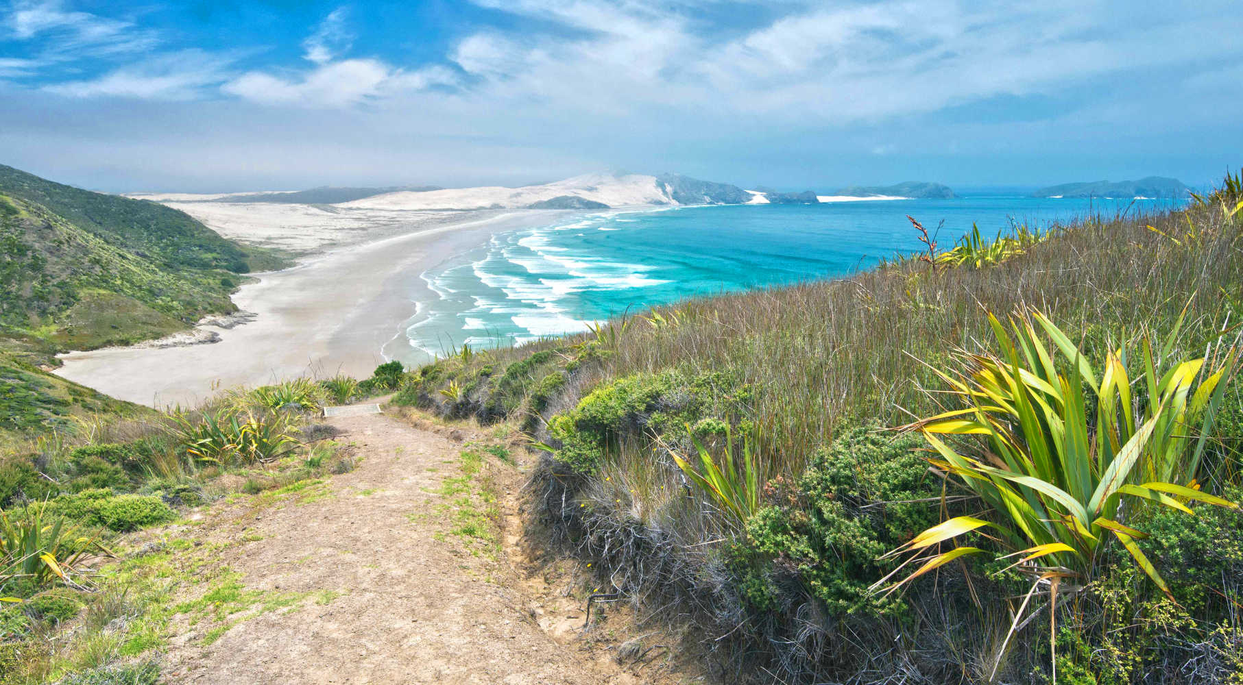 Dirt path on coastal hillside, Te Werahi, Cape Reinga, Northland, New Zealand
