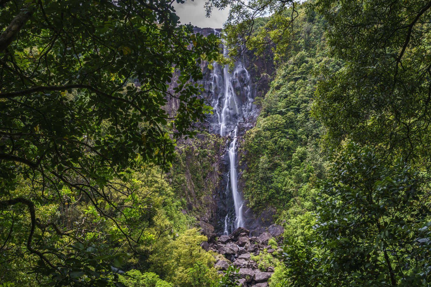 Wairere falls, waterfalls in a forest, Bay of Plenty