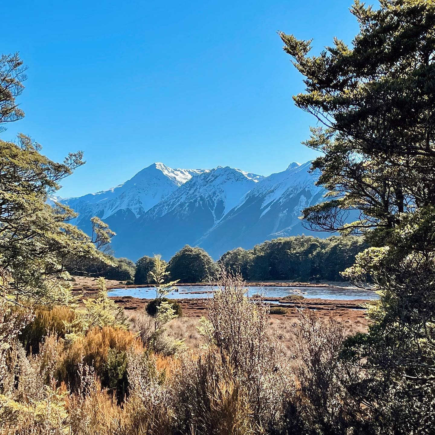 Bealey Spur, Arthurs pass, New Zealand @mealzhikes