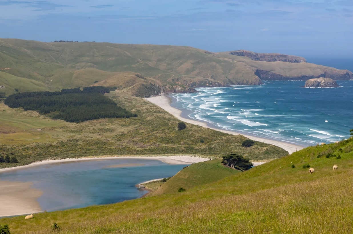 Sandymount and Sandfly Bay, Dunedin, Otago, New Zealand @Hiking the World