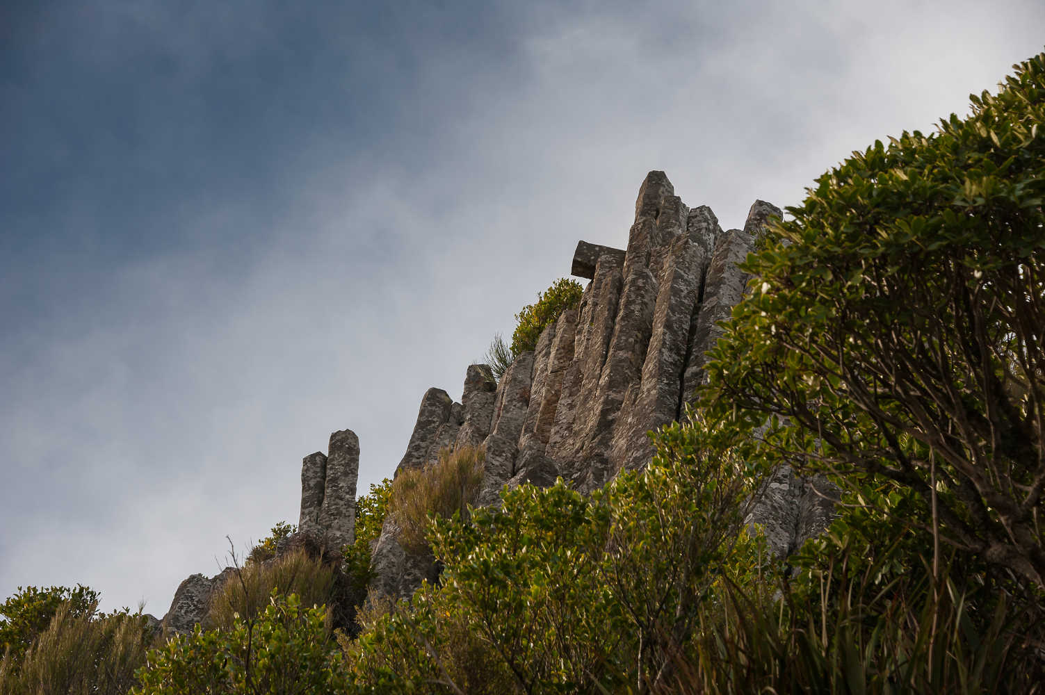 The Organ Pipes, unique basalt columns Mt Cargill, Dunedin, New Zealand