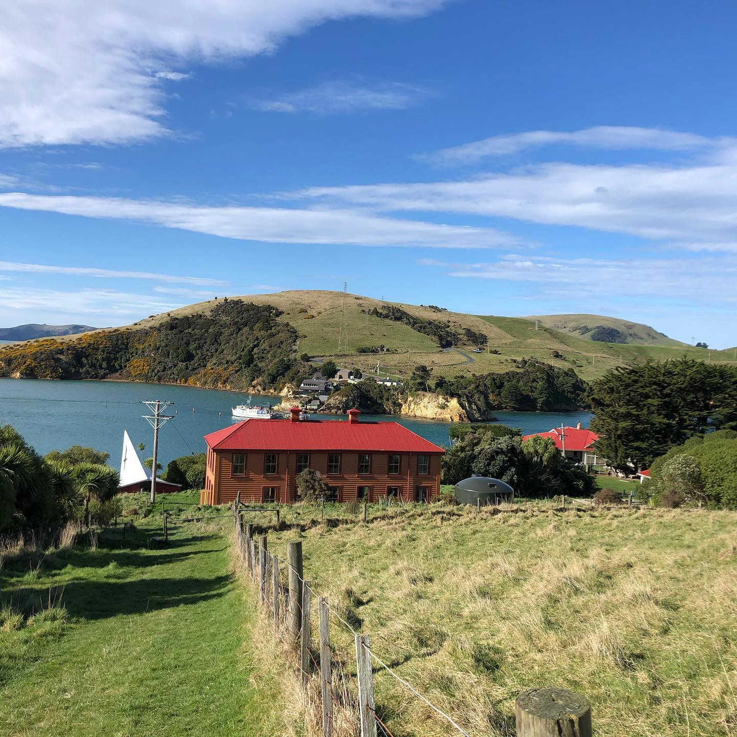 Quarantine Island, Otago, New Zealand @jenny.leigh.weeks