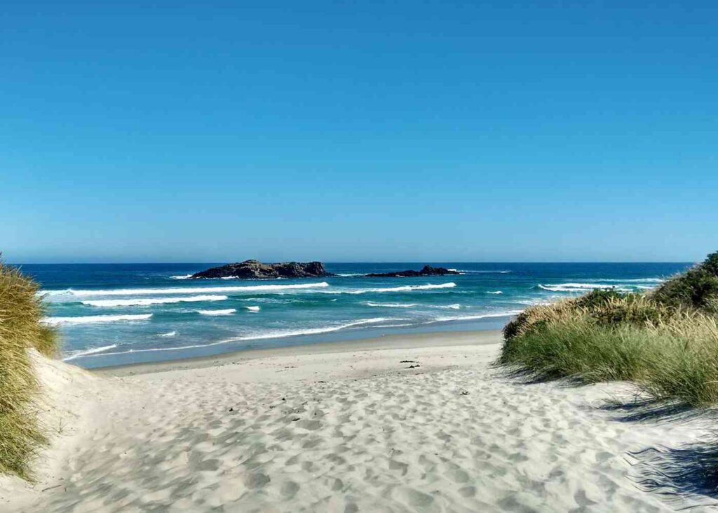 Smails Beach, Dunedin, Otago, New Zealand @Dunedin Attractions