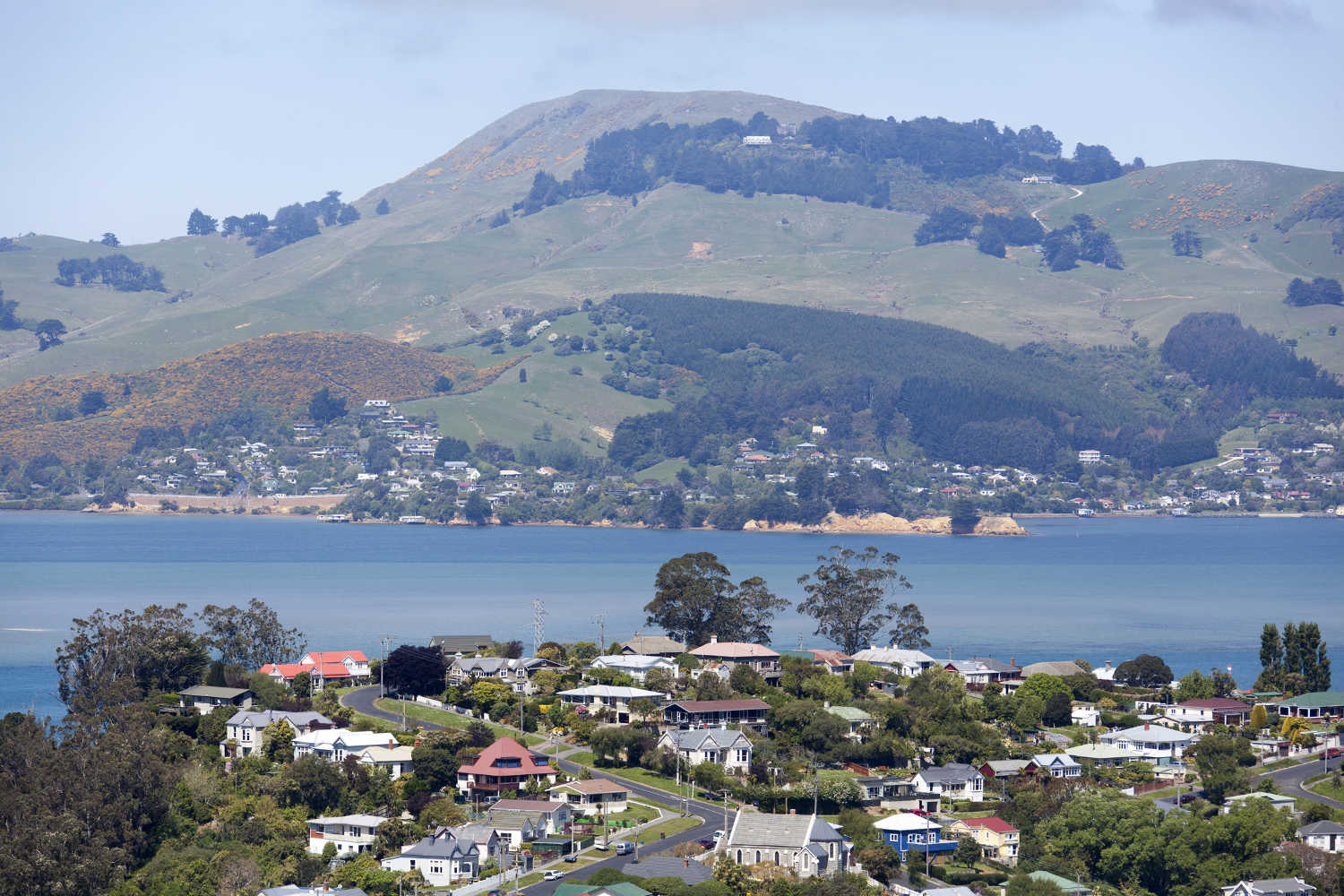 The view of Dunedin city suburb Port Chalmers with Portobello village on the other side of Otago Harbour New Zealand