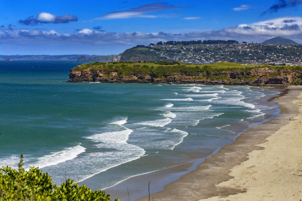 Tomahawk Beach, Dunedin, New Zealand